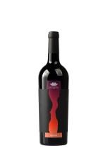 Syrah 75 cl I.G.T